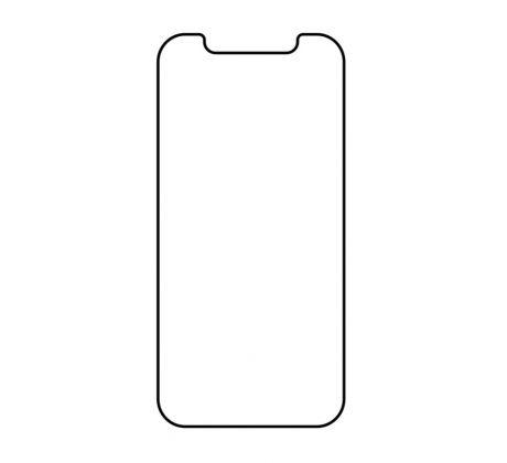Hydrogel - ochranná fólie - iPhone 12 Pro Max, typ výřezu 4