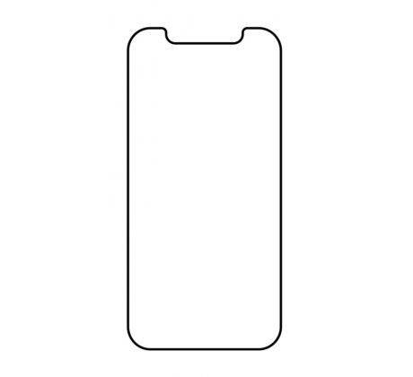 Hydrogel - ochranná fólie - iPhone 12, typ výřezu 4