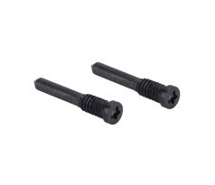 iPhone 11 - 13 Pro Max - Bottom Screws Graphite (2 pcs) 