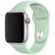 Řemínek pro Apple Watch (38/40/41mm) Sport Band, Beryl, velikost S/M