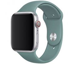 Řemínek pro Apple Watch (42/44/45mm) Sport Band, Cactus, velikost S/M