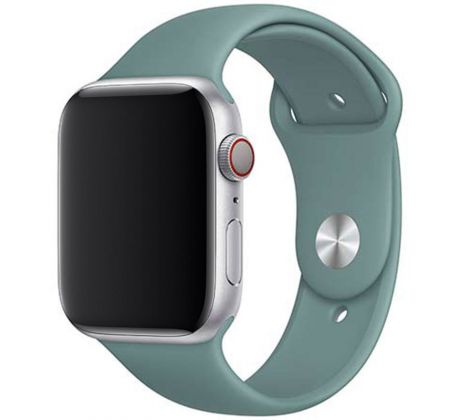 Řemínek pro Apple Watch (42/44/45mm) Sport Band, Cactus, velikost S/M