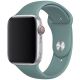 Řemínek pro Apple Watch (42/44/45mm) Sport Band, Cactus, velikost S/M