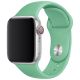 Řemínek pro Apple Watch (38/40/41mm) Sport Band, Spearmint, velikost S/M