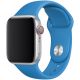 Řemínek pro Apple Watch (42/44/45mm) Sport Band, Surf Blue, velikost S/M