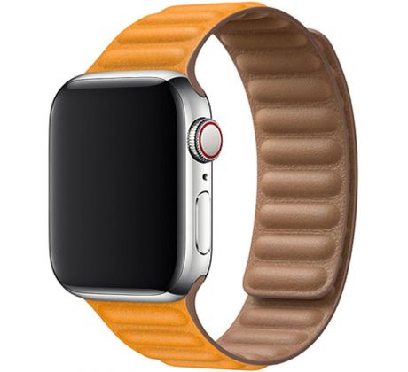Koženkový řemínek Leather Link pro Apple Watch (42/44/45mm) California