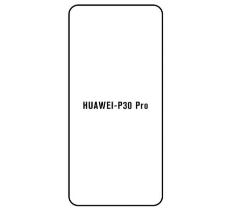 Hydrogel - ochranná fólie - Huawei P30 Pro, typ výřezu 2