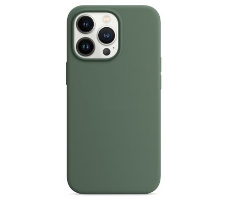 iPhone 13 Pro Silicone Case s MagSafe - Eucalyptus