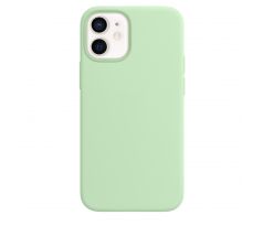 iPhone 12/12 Pro Silicone Case s MagSafe - Pistachio