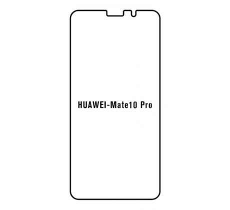 UV Hydrogel s UV lampou - ochranná fólie - Huawei Mate 10 Pro 