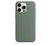 iPhone 15 Pro Silicone Case s MagSafe - Cypress