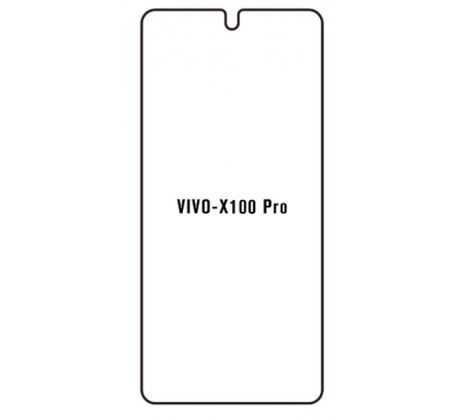 Hydrogel - ochranná fólie - Vivo X100 Pro (case friendly) 